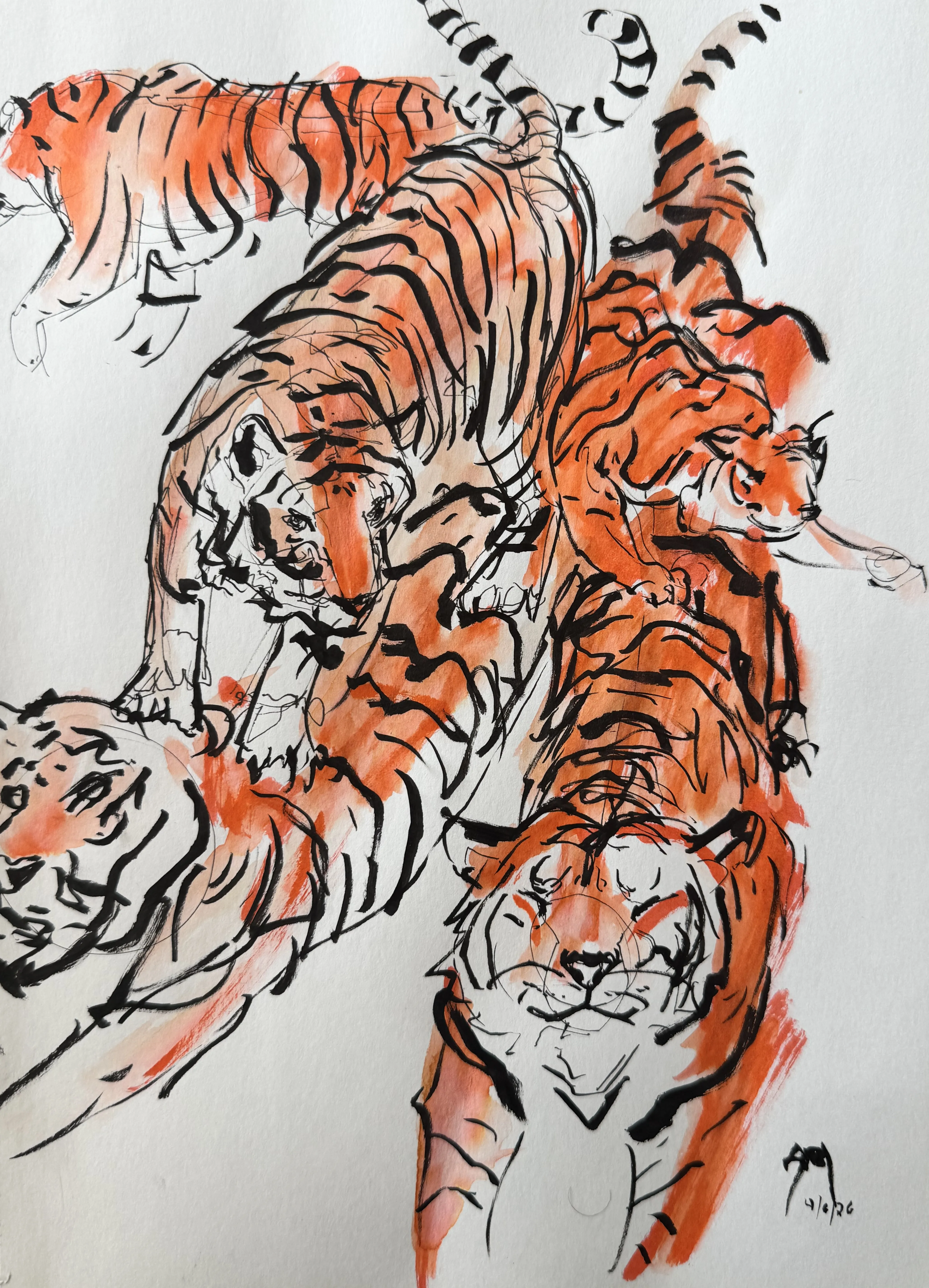 Tigers